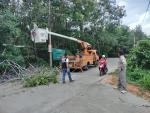 งานป้องกันและบรรเทาสาธารณภัย อบต.นาประดู่ ร่วมกับการไฟฟ้าฯ อ