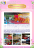 โครงการสืบสานประเพณีรับเทียมดา(เทวดา)